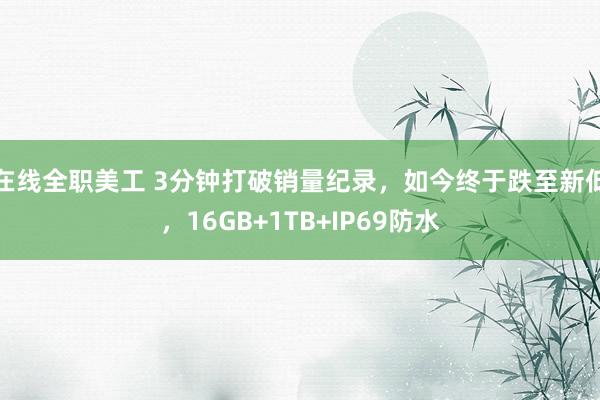 在线全职美工 3分钟打破销量纪录，如今终于跌至新低，16GB+1TB+IP69防水